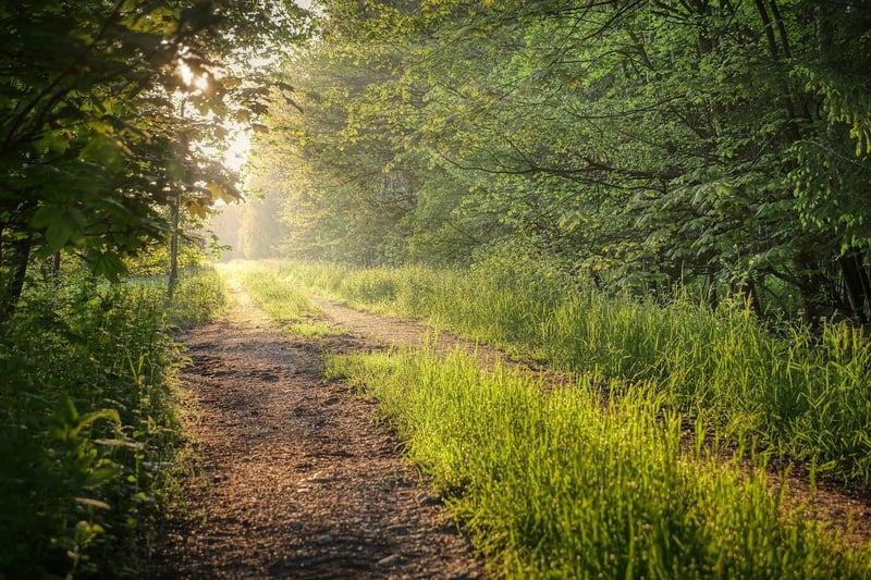 Nature Walks